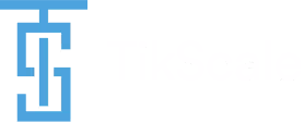 66cc45fdf969b57aa3ea8b9b_tikscale-logo